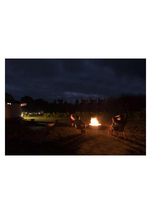Hotel The Horse & Chariot Madikeri Esterno foto